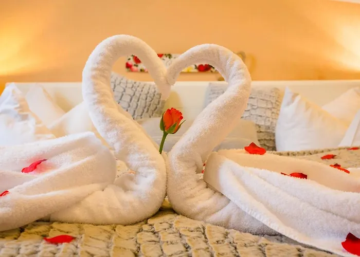 돔블릭 3* 베츨러